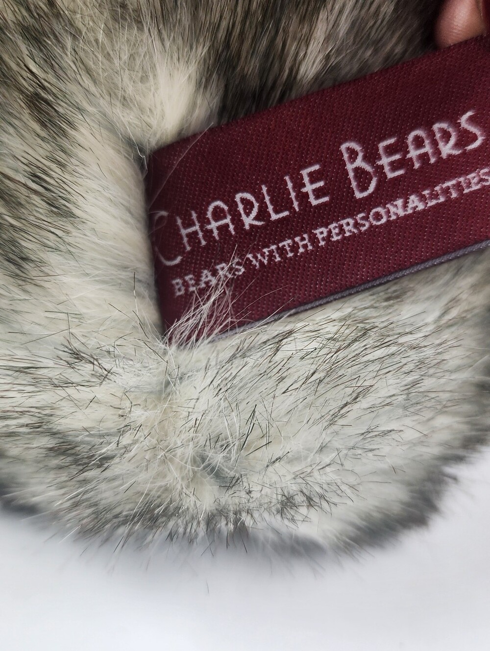 Retired "Craig" From Charlie Bears - Picture 6 of 6